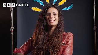 Neanderthals: Classic Myths Debunked! | Human | BBC Earth Science