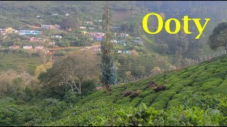 Offbeat places near Ooty