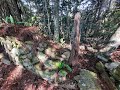 亞馬遜高山接駁（非假日自組）芝生毛台山＋虎禮山