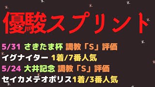 優駿スプリント2023予想【大井競馬】前走「東京ダービー」組は過去10年で1勝。複勝率42.9%[1-0-2-4]追い切り「S」評価の馬とAI予想公開