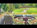 Royal Botanic Gardens, Melbourne, Victoria | Walking Through The Gardens on a Beautiful Rainy Day