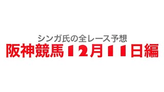 12月11日阪神競馬【全レース予想】阪神JF2022