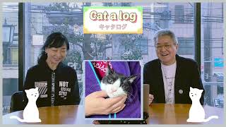 【まいネコ🐈】毎日がネコ曜日 日曜日版＃58　ゲスト：女優 中條サエ子さん＆Cat a log 「入ってます」