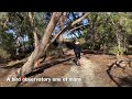 a comprehensive look at herdsman lake. perth w. australia