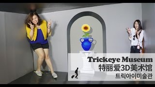 Seoul Trickeye Museum: Art Hall | 特麗愛3D美術館 展品總覽