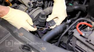 VW Golf Jetta New Beetle (A4) 2002-2004 - DTC fault code P1355, P1358, P1361, P1364 - DIY Repair