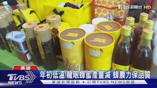 年初低溫!龍眼蜂蜜產量減 蜂農力保品質｜TVBS新聞