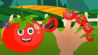 Familia de dedos de tomate | Canciones infantiles | Musica para bebes | Videos educativos