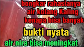 bongkar rahasia kenapa Manggar kolang Kaling bisa banyak airnya