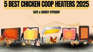 5 Best Chicken Coop Heaters 2025! (Safe & Energy Efficient)