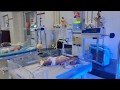 NICU - SNCU Tour | Neonatal Intensive Care Unit - Special Newborn Care Unit