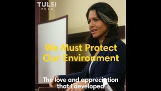 We Must Protect Our Environment