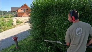 Husqvarna 525HE3 | Hedge trimming