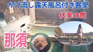 【50代夫婦と犬旅】佐野ＳＡ／南ヶ丘牧場／ りんどう湖ファミリー牧場／伏楽の館