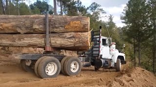 Carga extrema + caminos peligrosos: ¡Un desafío solo para expertos!