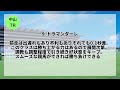 【競馬予想】【中央競馬】【中山競馬場　全レース予想】2023年9月24日の平場レース＆メインレースの全レースを予想！gⅡオールカマー2023の本命と注目馬は？