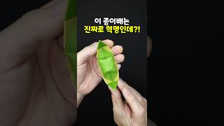 종이배 접기 좋아하세요?