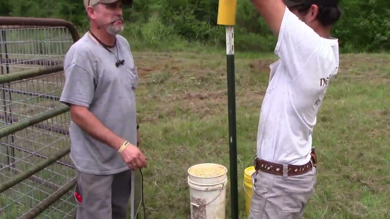 Moving Hog Trap To New Location Youtube