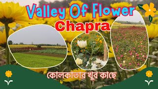 Flower Valley | ফুলের স্বর্গরাজ্য | One Day trip from Kolkata | Chapra Ranaghat | | Memorable Tour