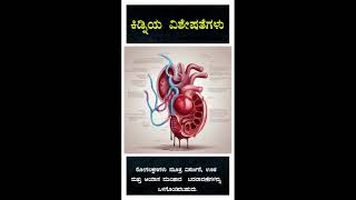 ಮೂತ್ರ ಪಿಂಡದ ವಿಶೇಷತೆಗಳು ಭಾಗ 2 @worldofkannada #health #healthtips #kidney #kidneyhealth#viralvideo