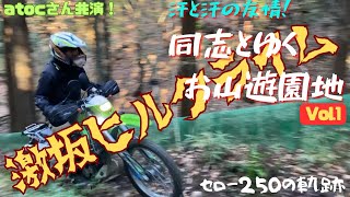 【お山ツー】汗と汗の友情！同志とゆくお山遊園地 Vol.1【セロー250/林道/ダート】