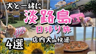 【犬と淡路日帰り旅】店内犬ok快適♪4選 #ゴールデンレトリバー