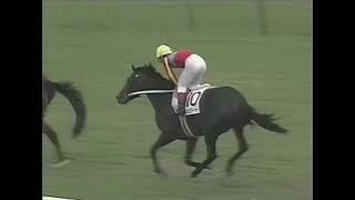 ウイニングチケット 1993年 第60回東京優駿(日本ダービー)(GI) (優勝馬：ウイニングチケット) (実況：ラジオたんぱ版)