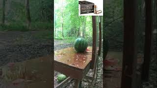 🍉Watermelon Test🍉 - 10mm, .357 Sig, .45 ACP \u0026 .40 S\u0026W