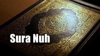 Sura Nuh | Holy Quran Sura No:71( Sura Nuh ) Quran Tilawat With Bangla Translation