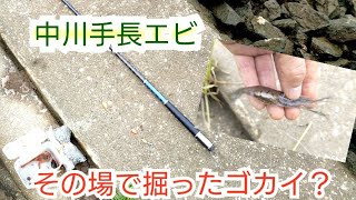 葛飾クチボソ釣行　2023-06-09　中川テナガエビ　地産地消編(掘ったゴカイで成功釣果)