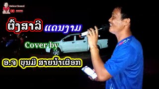 ຜົ້ງສາລີແດນງາມ cover ໂດຍ ອ.ຈ ບຸນມີ ສາຍນ້ຳເຜືອກ / ผ้งสาลีแดนงาม