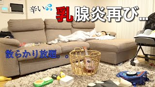 【再発】また辛い乳腺炎になり高熱で2日間寝込みました。。【2歳差育児】