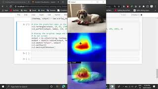 Gradient Classification Activation Maps for Visualizing Convolutional Neural Networks in Tensorflow