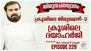 ക്രൂശിലെ തിരുമൊഴി - 2 (ക്രൂശിലെ ദയാഹർജി)  | Rev. Fr. Aneesh P J | Episode 229