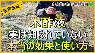 【木酢液の使い方】家庭菜園での正しい活用法を伝授！【有機農家直伝！無農薬で育てる家庭菜園】　24/12/31