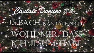 J.S.BACH Kantate Nr.147  Wohl mir, dass ich Jesum habe, Cantate Domino 牟礼 指揮 川村悦子 オルガン 沢地尚子 2005