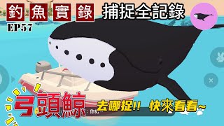 天天玩樂園 | 「弓頭鯨」 什麼時間!? 要去哪釣!? 快來看看~實釣經驗分享 | 釣魚實錄 EP57 | PlayTogether 一緒に遊ぼう | 林林玩遊戲 Lin's GAME