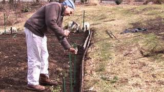 Fencing a Vegetable Garden