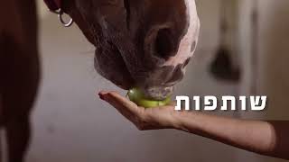 תדמית - התאחדות הרכיבה