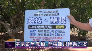 110-05-28 王惠美關心農業產業  爭取中央天然災害救助