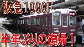 【半年ぶりの復帰】1000トプナンなど 2018.8.10