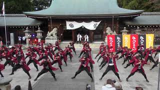 香川大学よさこい連 風華 2017.11.11 龍馬よさこい,京都護国神社4k