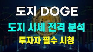 도지 DOGE 도지 시세 전격 분석 투자자 필수 시청