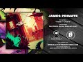 James Primate | Theme V - Credits | Rain World (Alphas, Gems and Junk)