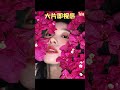 夜間原相機拍照教程！拒絕紅眼畫質差 拍出高清氛圍感【文不叮winnie】