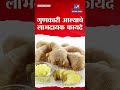 health benefits of ginger हिवाळ्यात आलं खाण्याचे आरोग्यदायी फायदे ginger tv9d