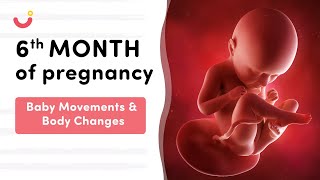 6 Month Pregnancy Baby Movement | 6 Month Pregnancy | Six Month Pregnancy Baby Movement