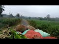 kamalpur.halhali bazar to khowai tulasikhar road....