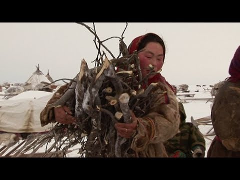 How do people survive in Arctic tundra?