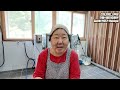 3년동안 아삭한 매실장아찌 만드는 비법 소개